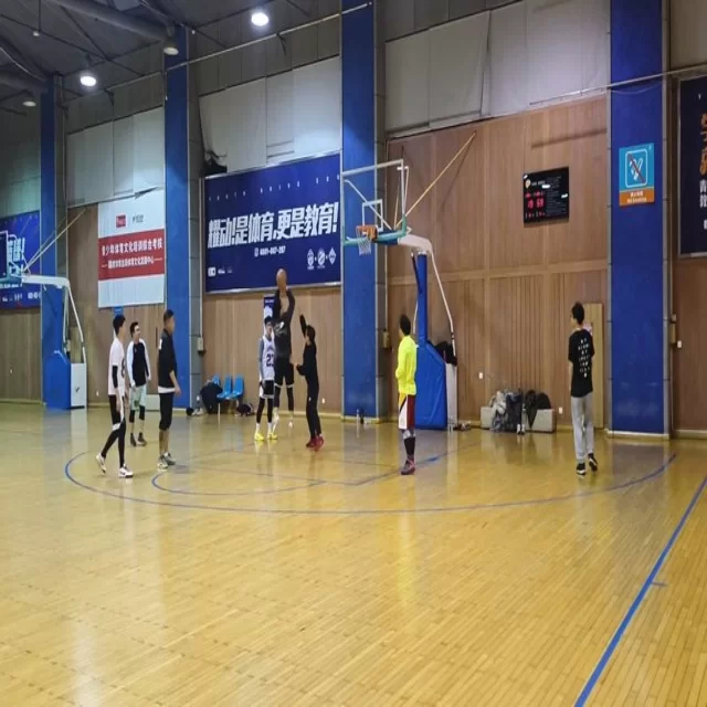 电竞季后赛战术变化与阵容分析第176组深度解读
